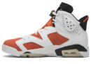 Air Jordan 6 Retro 'Gatorade'